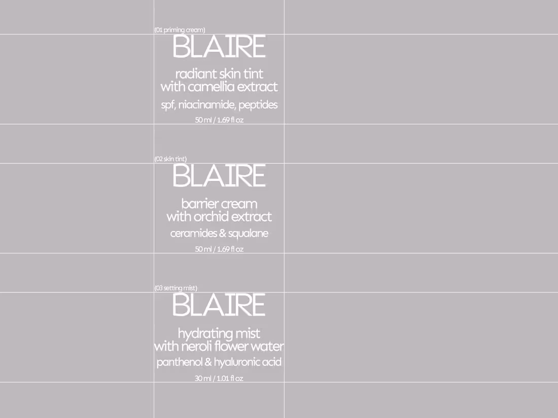 Cover image for Part 2 of BLAIRE focuses
