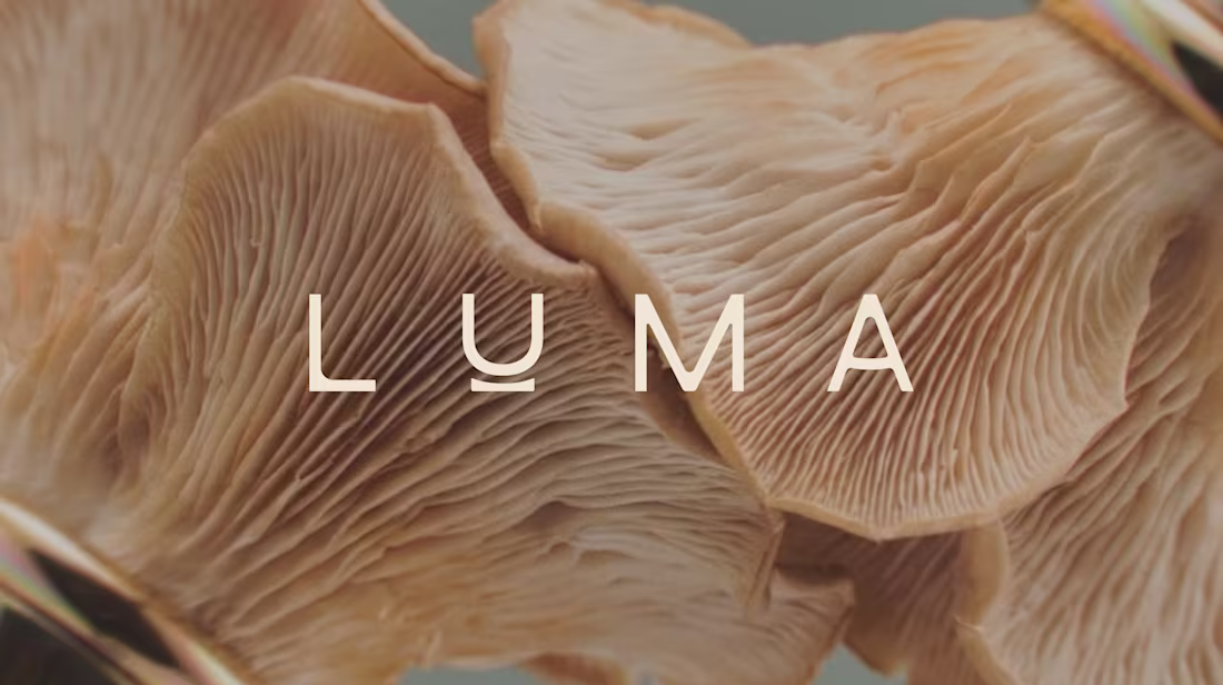 Cover image for Luma — Branding for Adaptogen Wellness