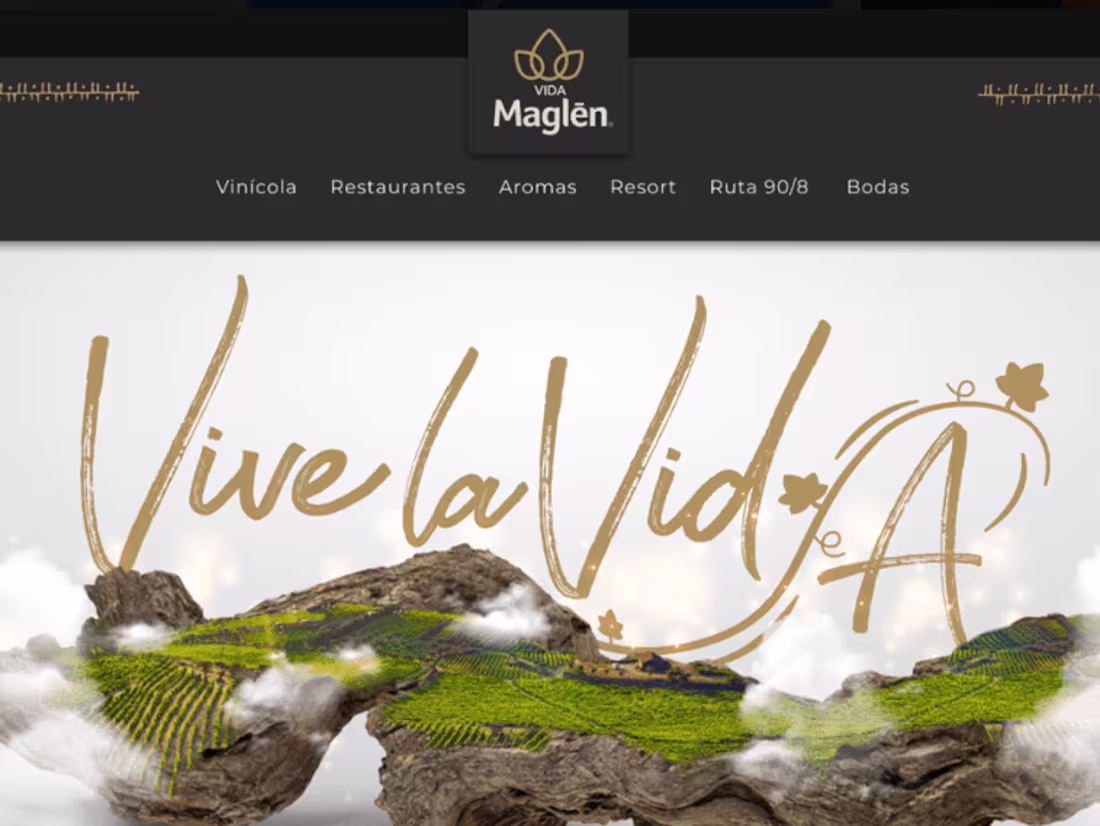 Cover image for Maglen