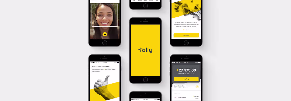 Cover image for Tally Money