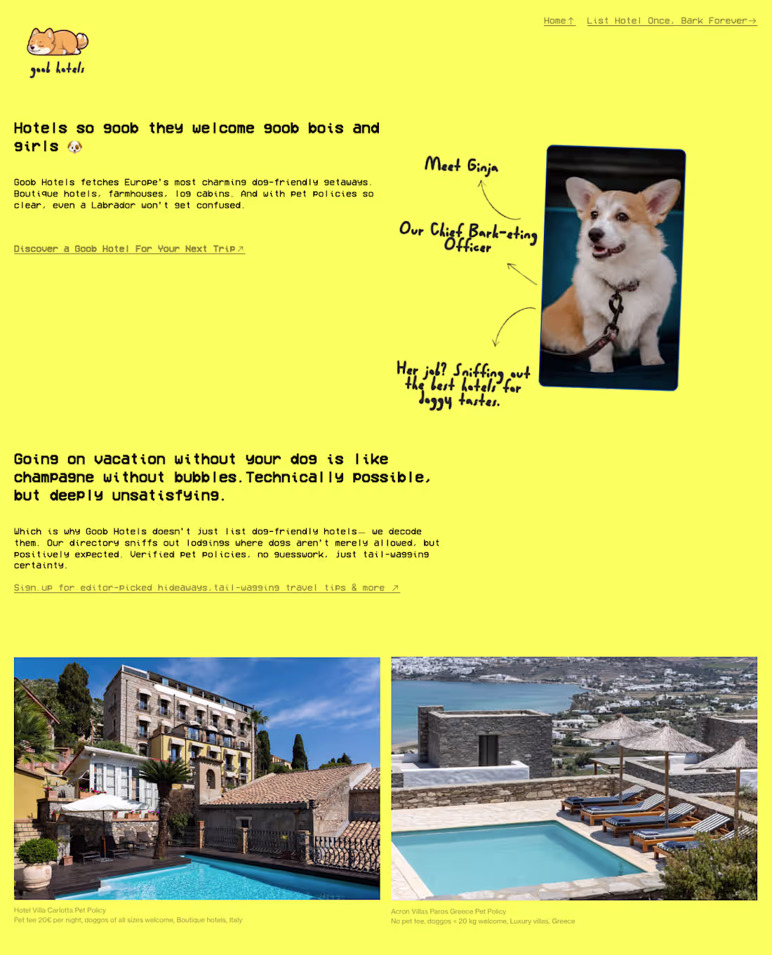 Cover image for Many hotels love saying they’re dog-friendly. Most are just ...