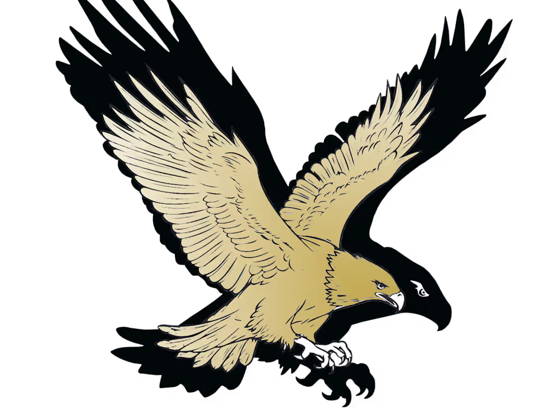 Cover image for Falcon