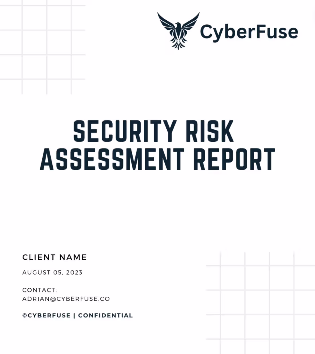 Cover image for Vulnerability assessment