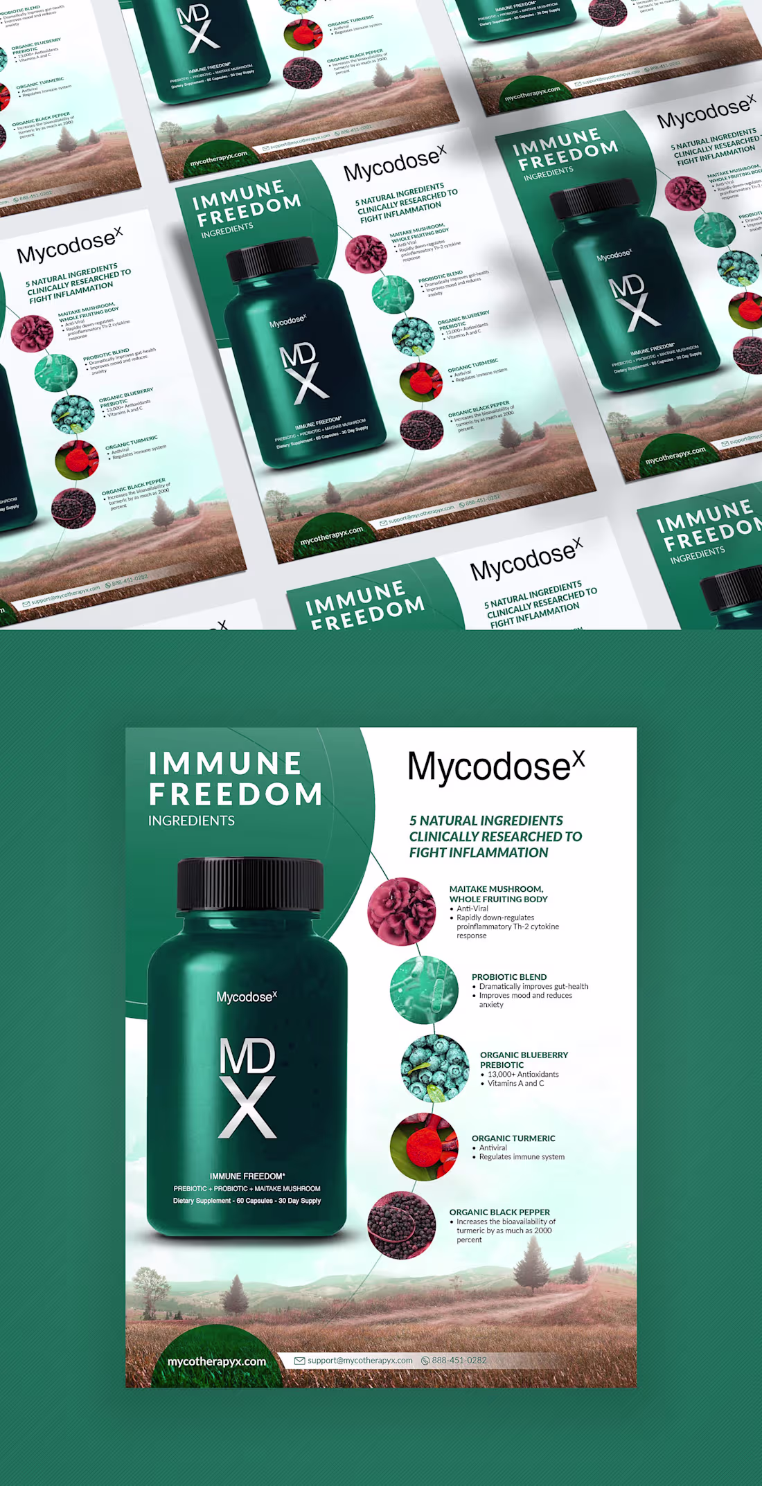 Cover image for Immune Freedom