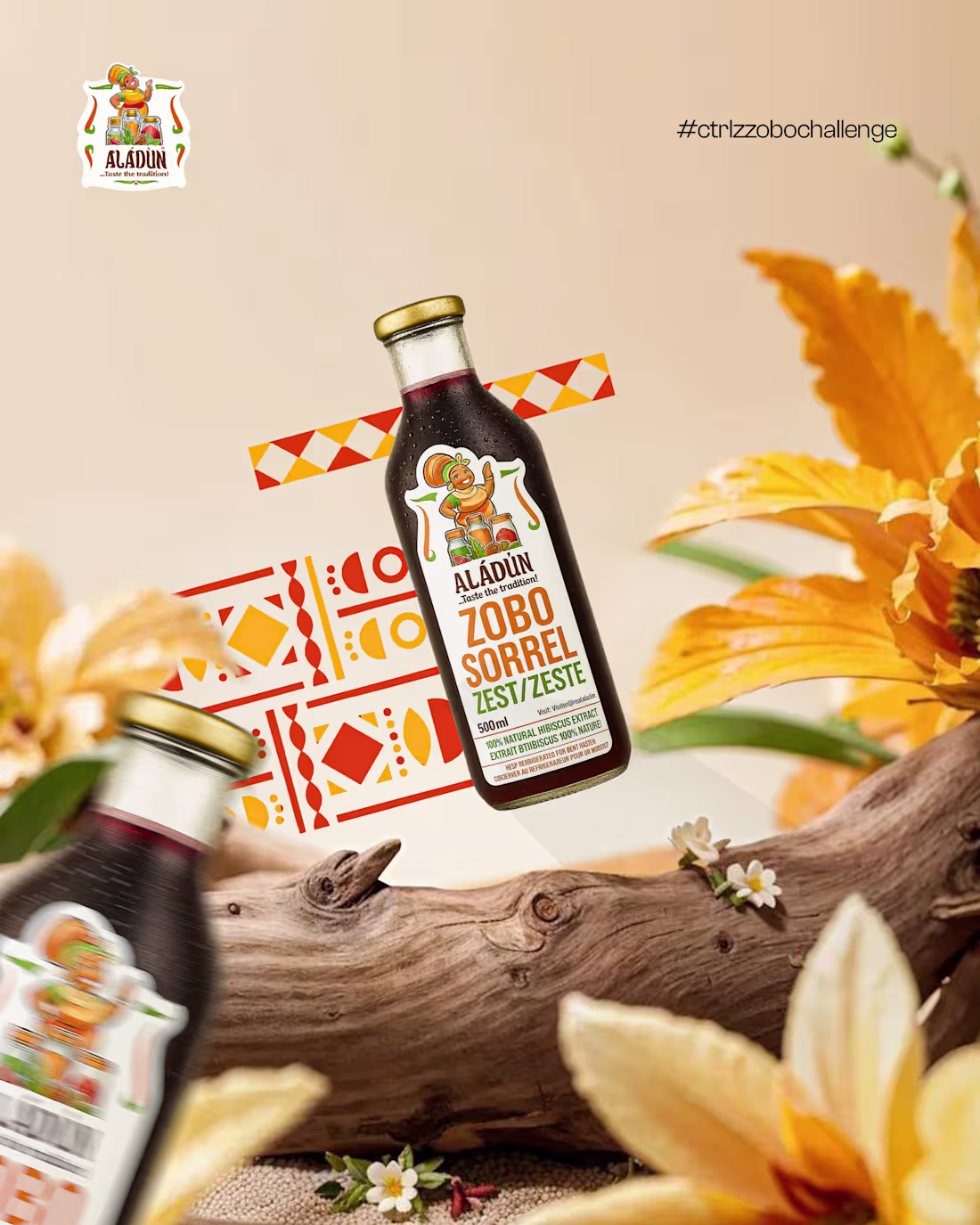 Cover image for Aladun Promotional Flyer Design