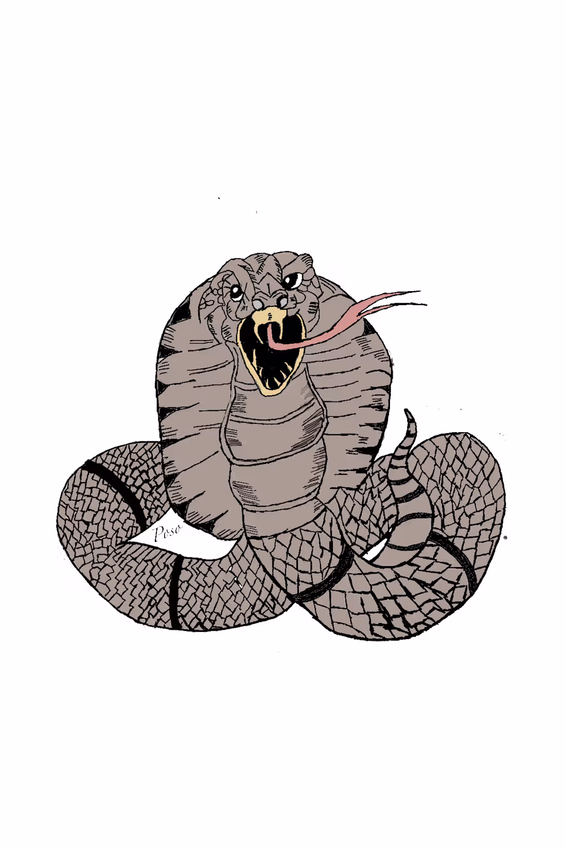 Cover image for Sketch and colored of cobra.