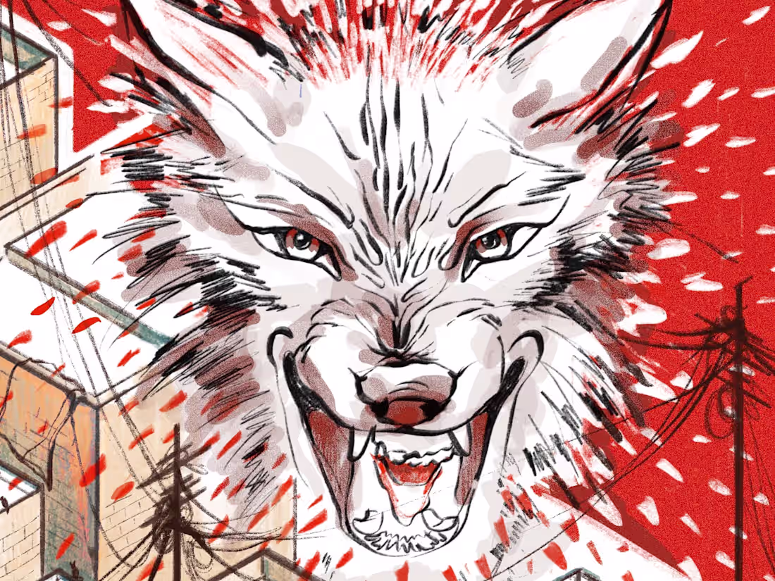 Cover image for Big Bad Wolf