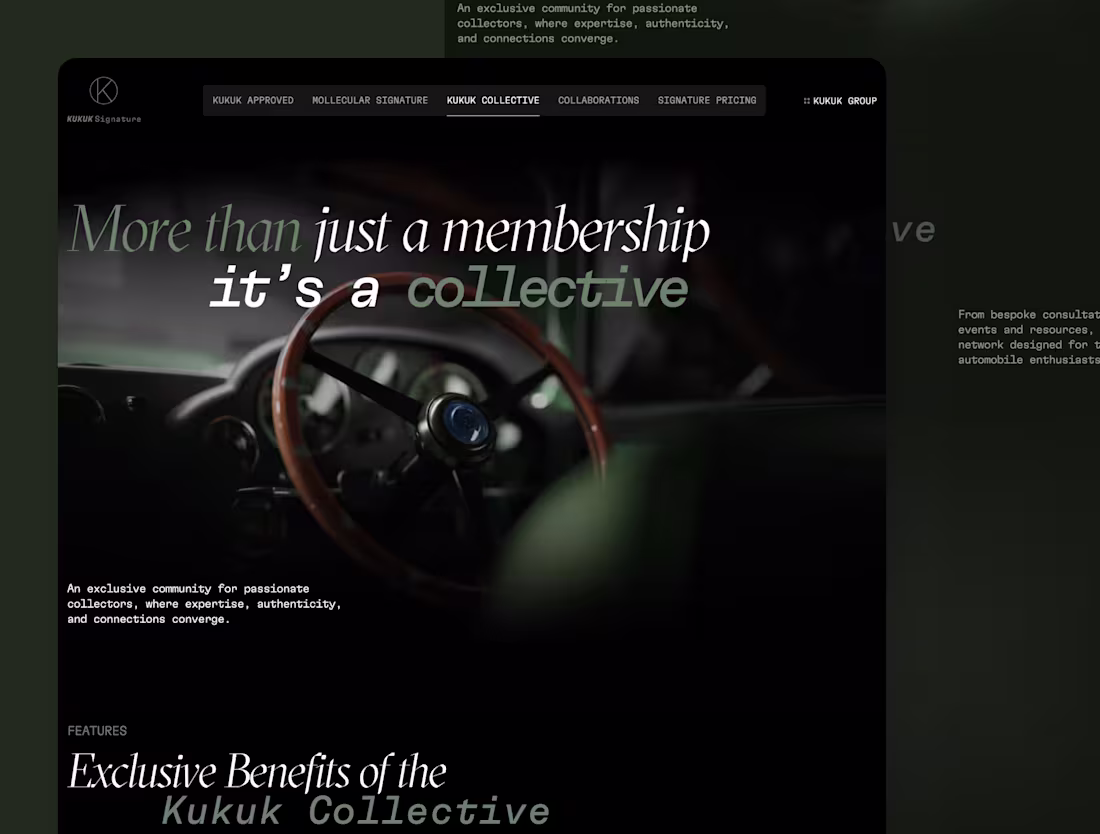 Cover image for Website Showcase