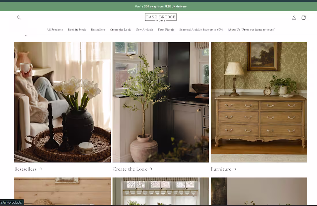 Cover image for Worked as the Shopify Designer