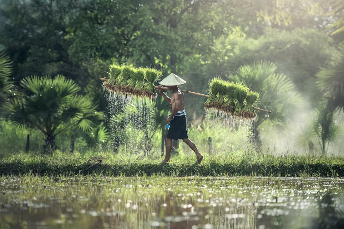 Cover image for TravelLocal Marketing Assets