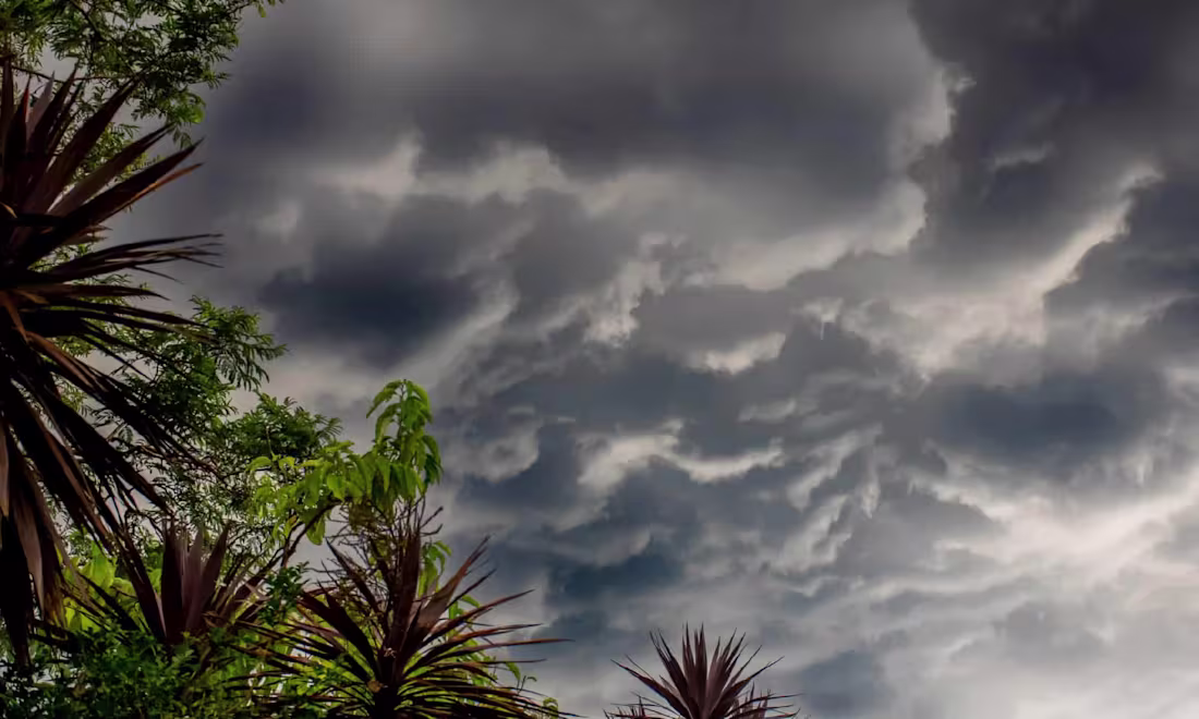 Cover image for What Are the Effects of Acid Rain?