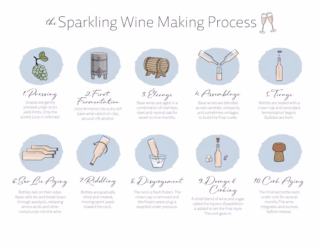Cover image for Sparkling Wine Making Process Diagram