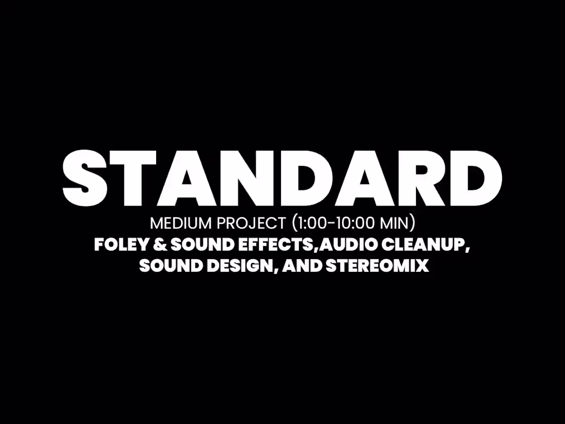 Cover image for STANDARD-Medium Project (1:00-10:00 Min)
