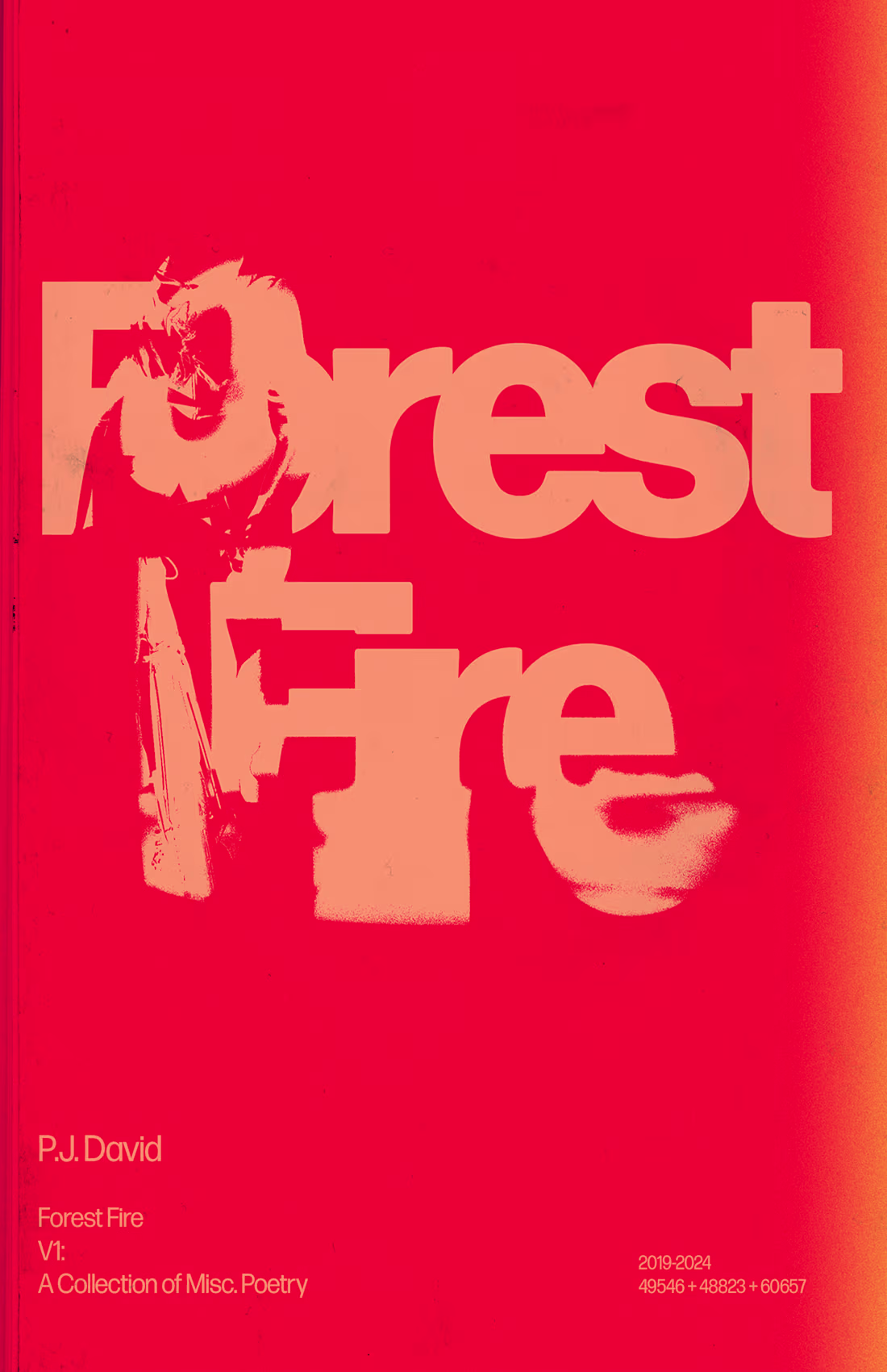 Cover image for Forest Fire: A full visual