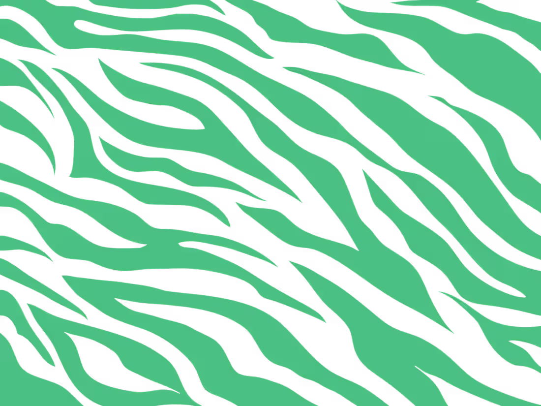Cover image for Zebra Club Launch Video