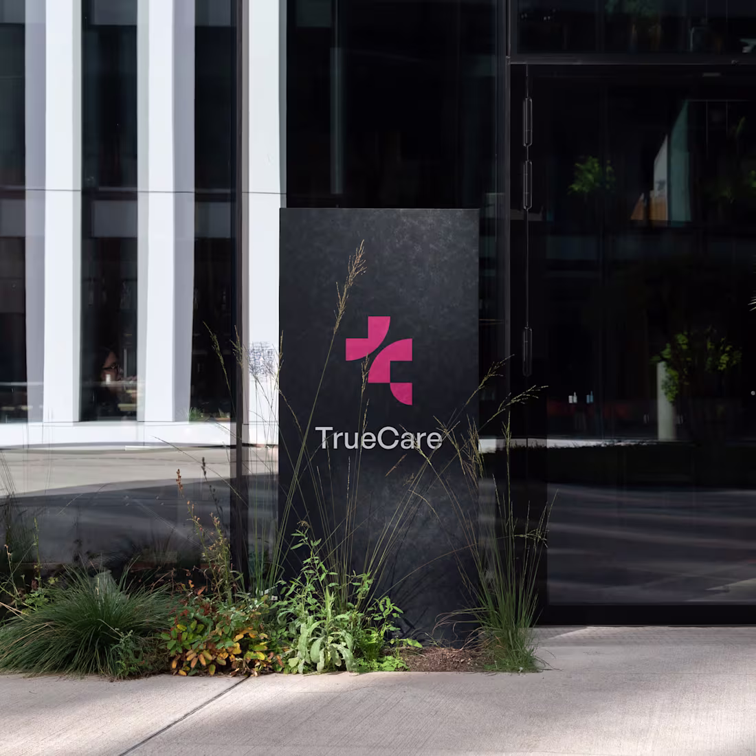 Cover image for Logo Design for TrueCare