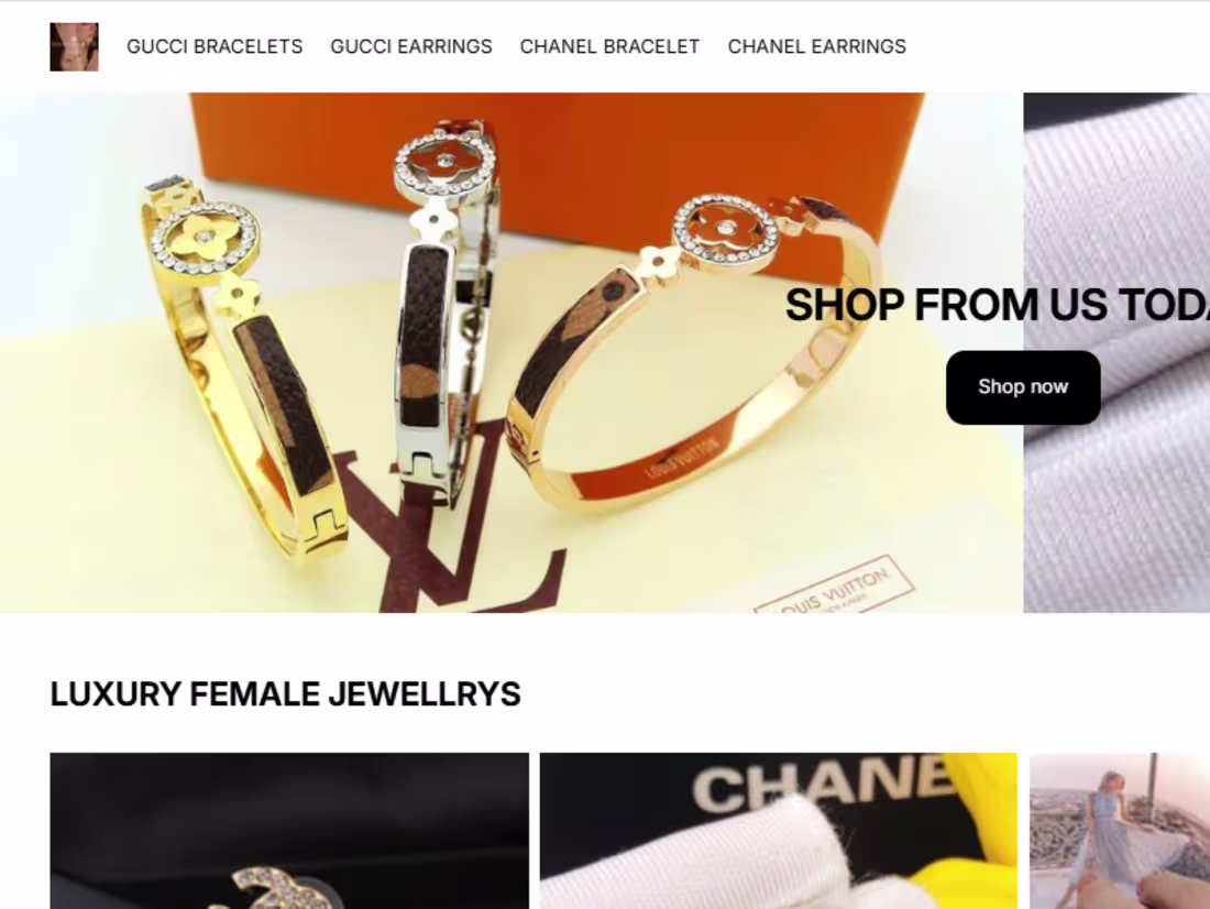 Cover image for Built a responsive Shopify store