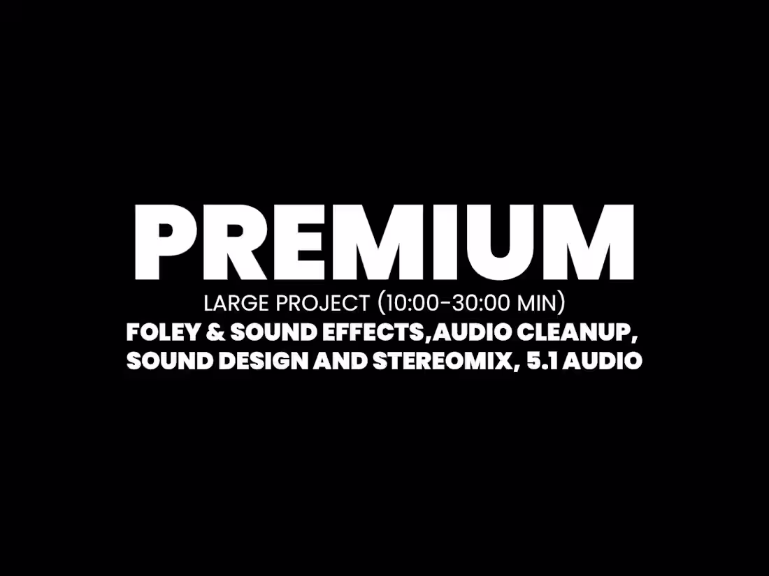 Cover image for PREMIUM-Large Project (10:00-30:00 Min)