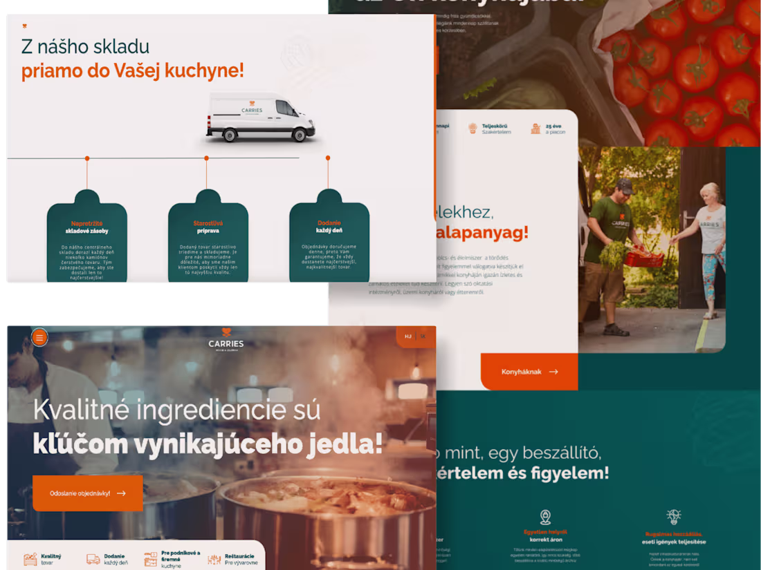 Cover image for Carries Webfow devopment