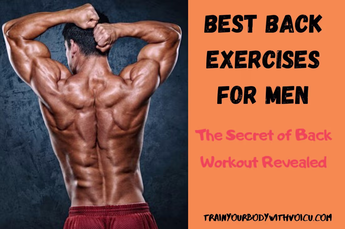 Cover image for www.TrainYourBodyWithVoicu.com