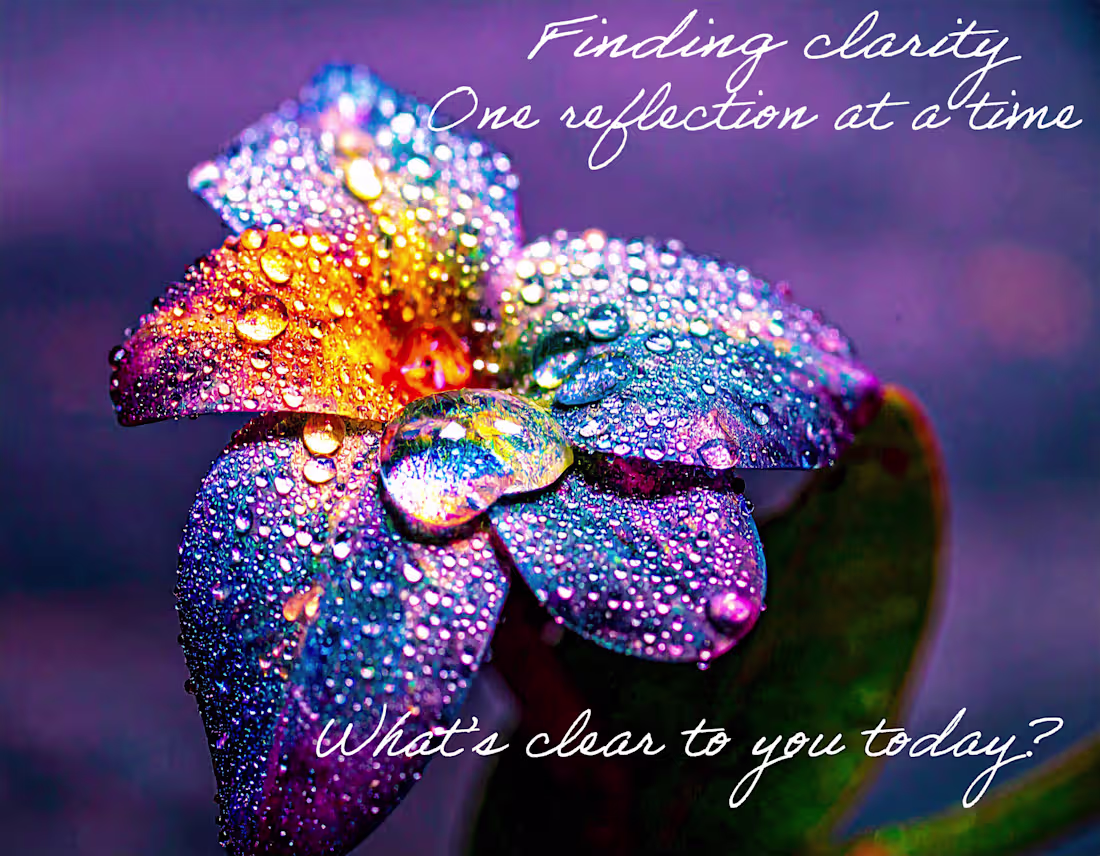 Cover image for Finding