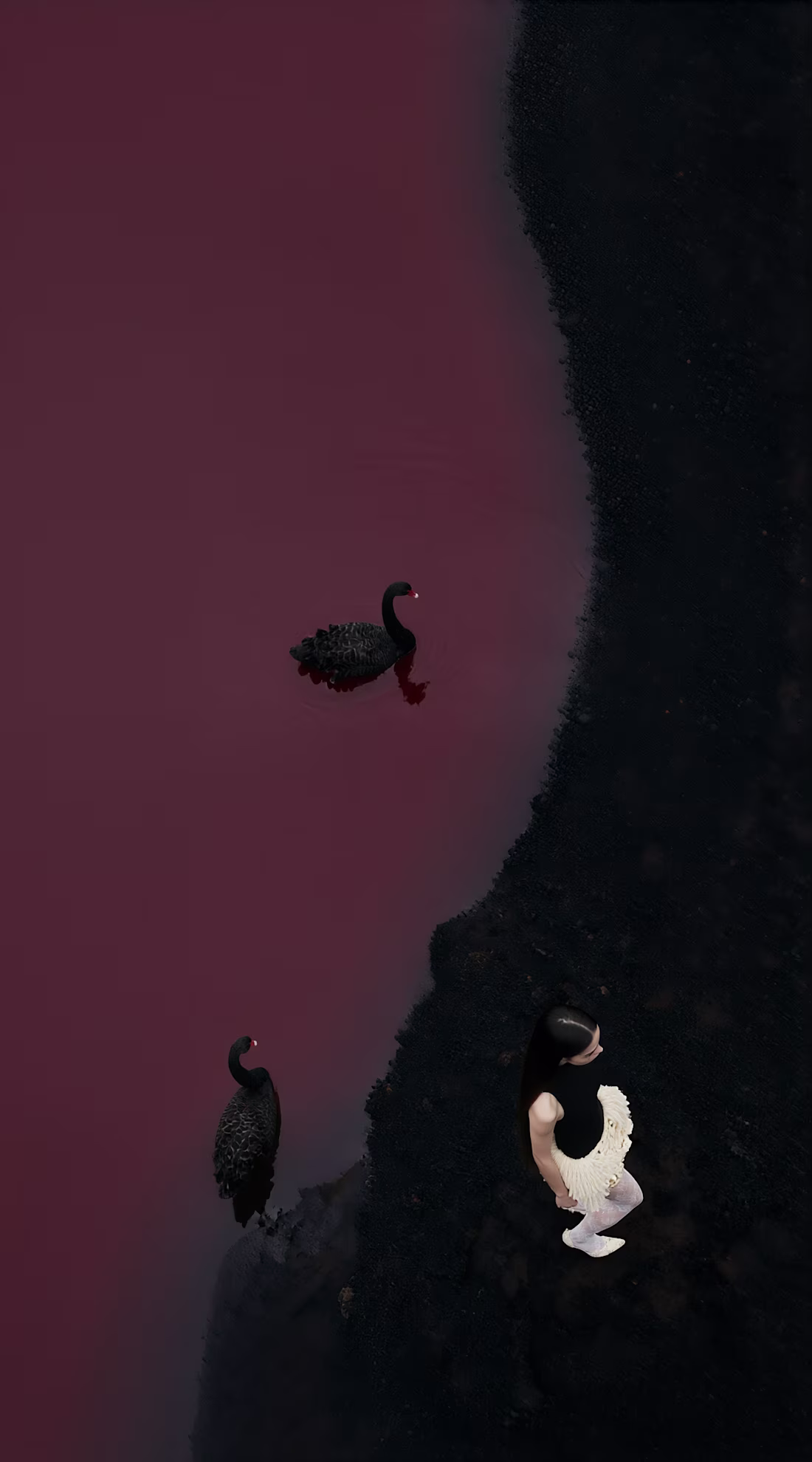 Cover image for Black Swan AI Photoshoot