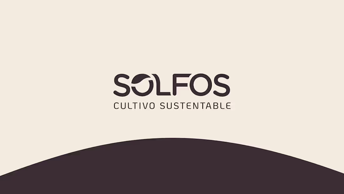 Cover image for Creación de Logo e Identidad,