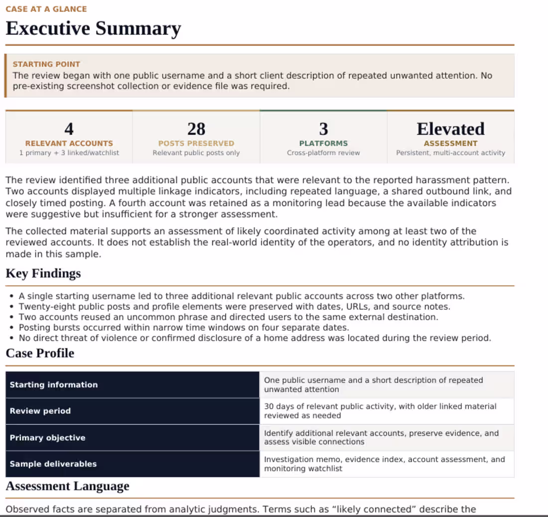Cover image for An example of an Executive
