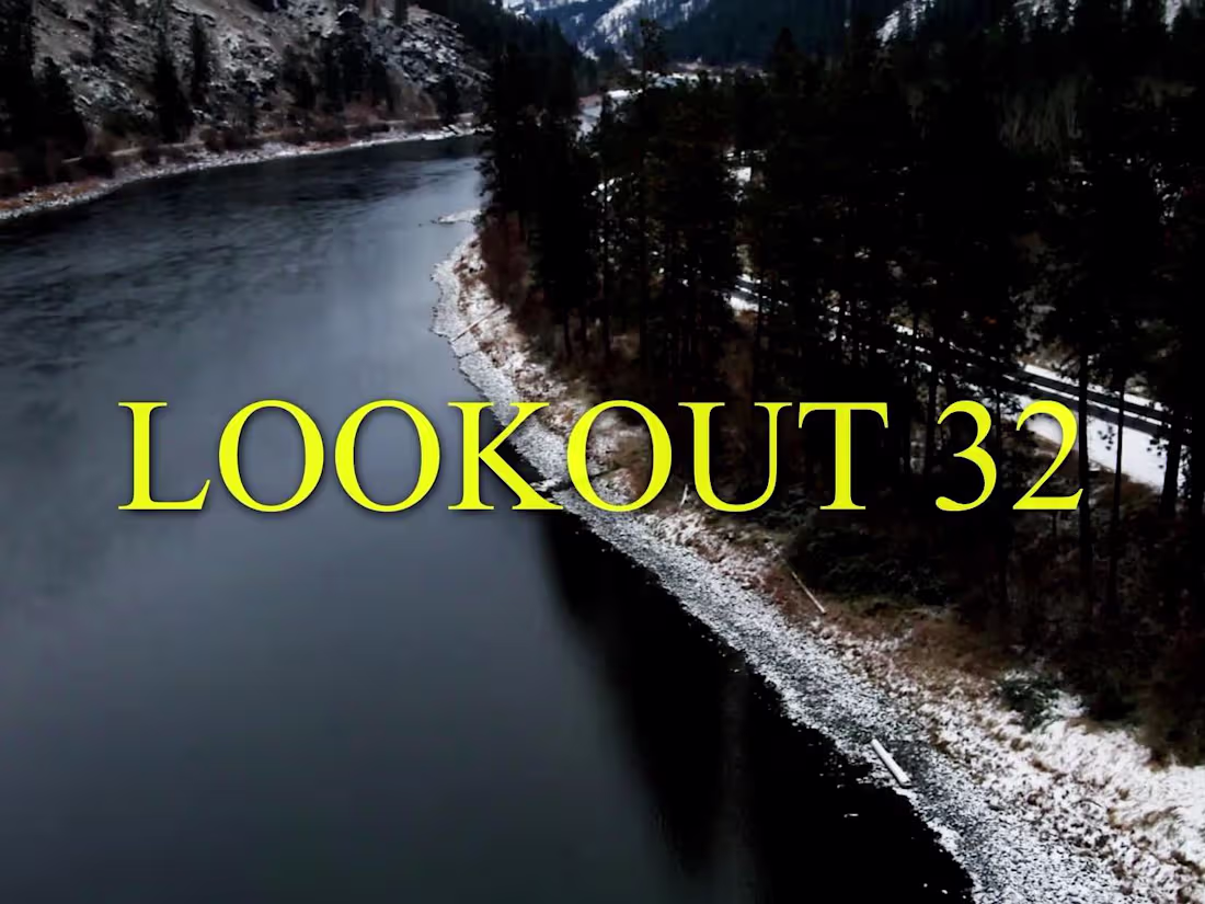 Cover image for Lookout 32