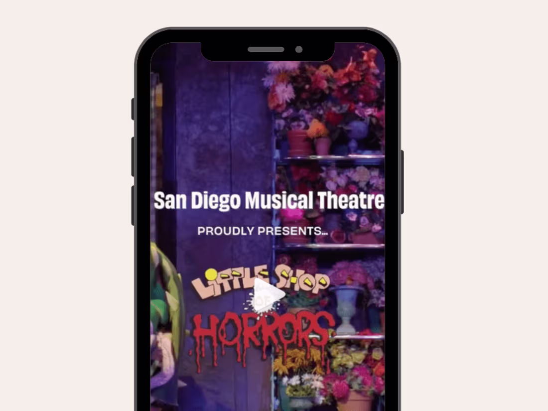Cover image for Instagram Reels & Copywriting (San Diego Musical Theatre)