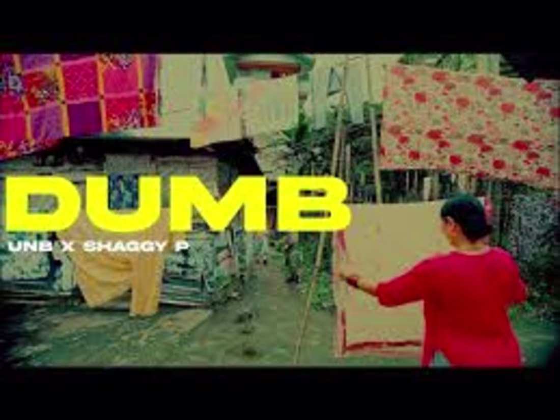 Cover image for Dumb - UNB x Shaggy P (Official Music Video) // KAUSO GANG Ent.…