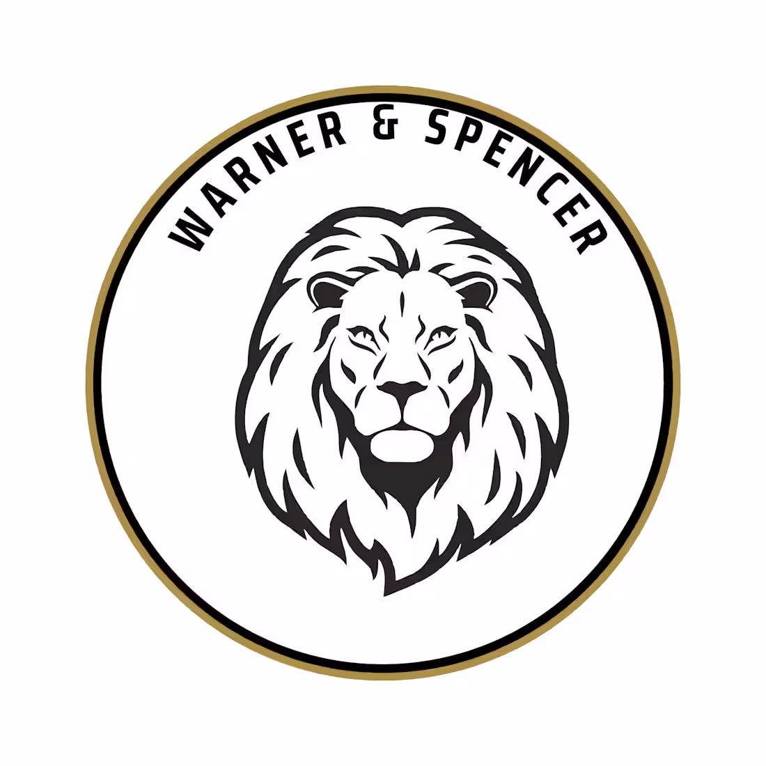 Cover image for Modern and professional lion logo