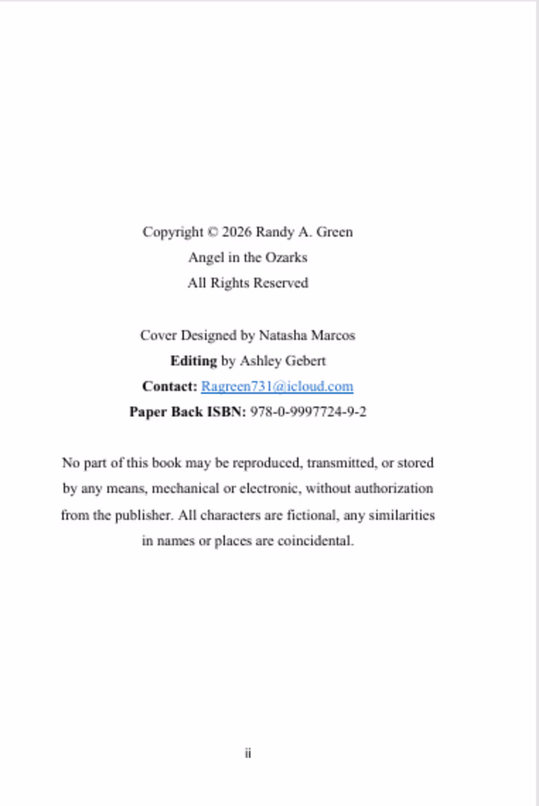 Cover image for PROFESSIONAL BOOK FORMATTING