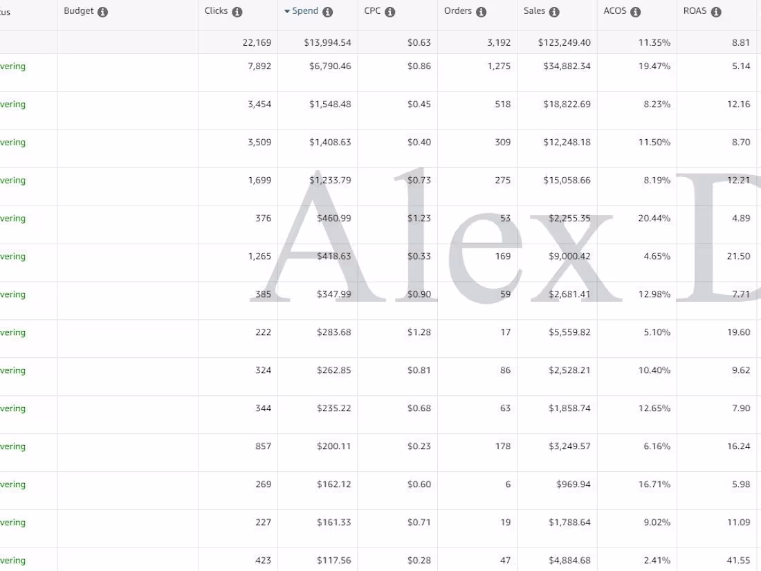 Cover image for Amazon US multi-brand store: +148% PPC sales & +184% ROAS growth