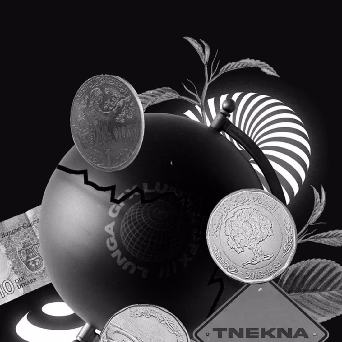 Cover image for Tne**a Project