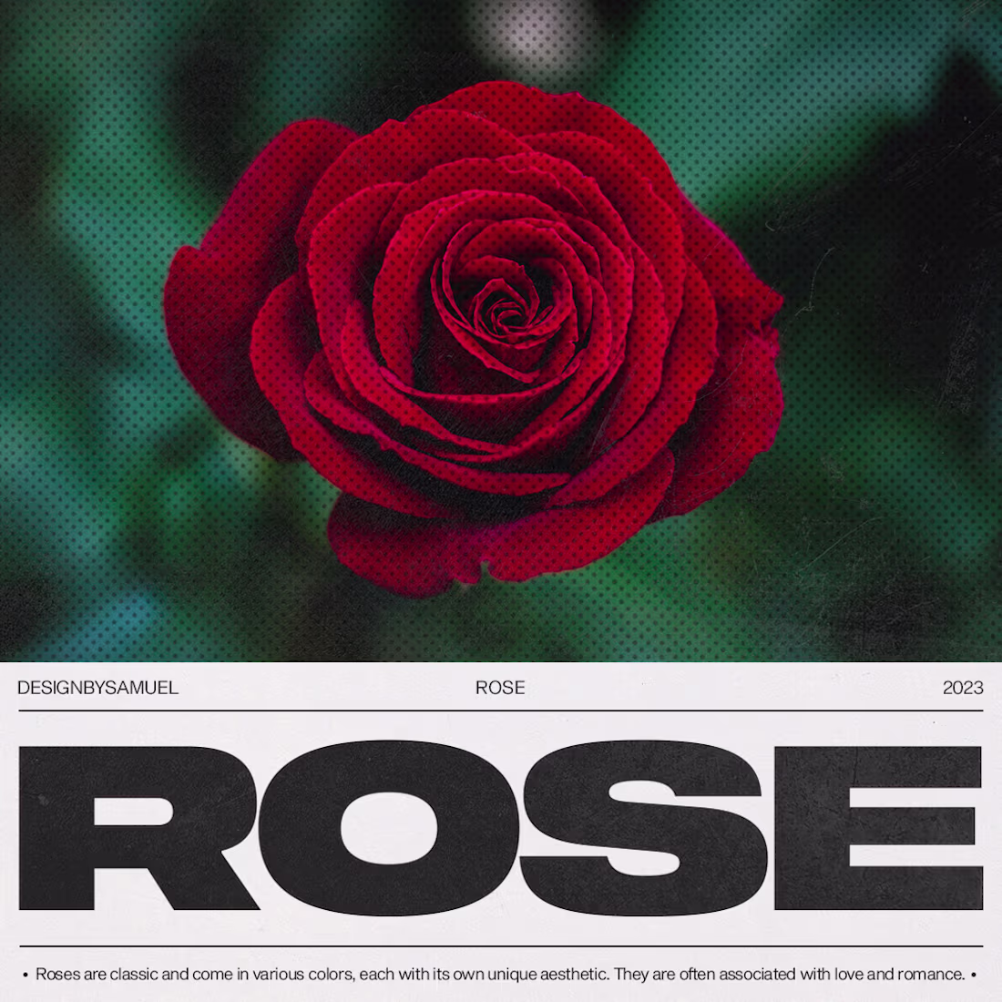 Cover image for ROSE 