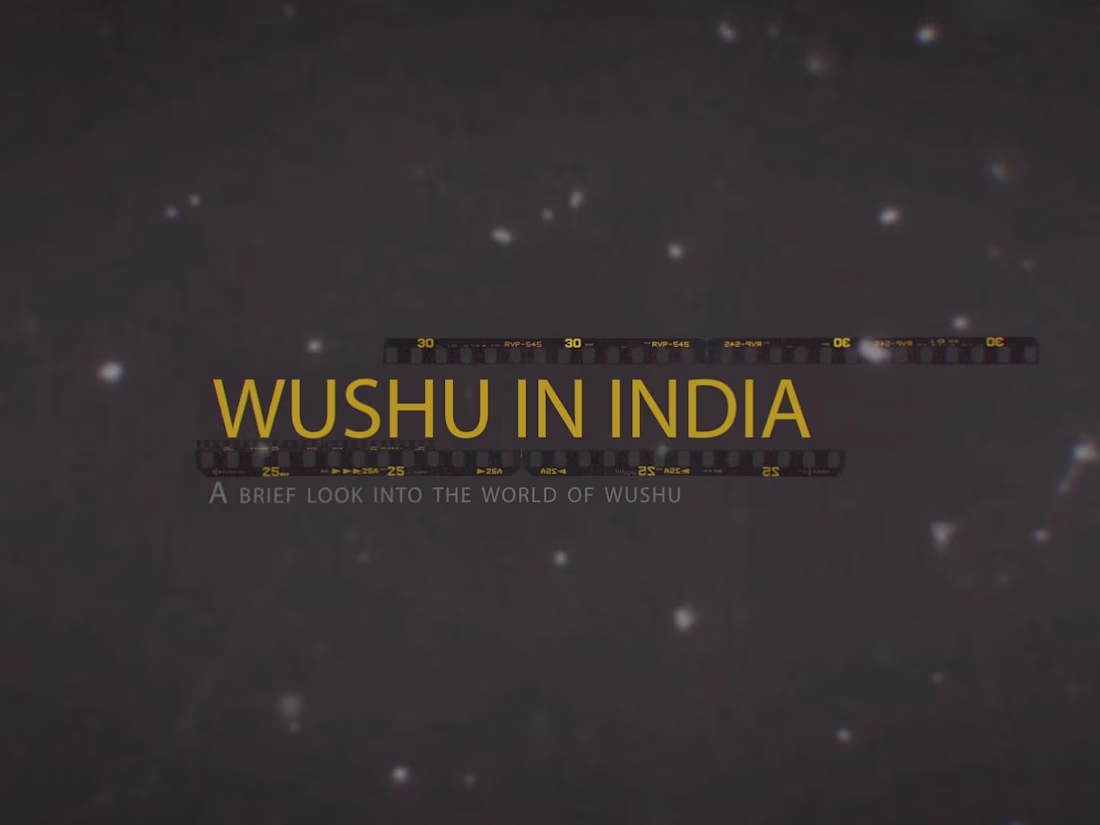 Cover image for WUSHU NATIONAL CHAMPIONSHIP DOCUMENTARY