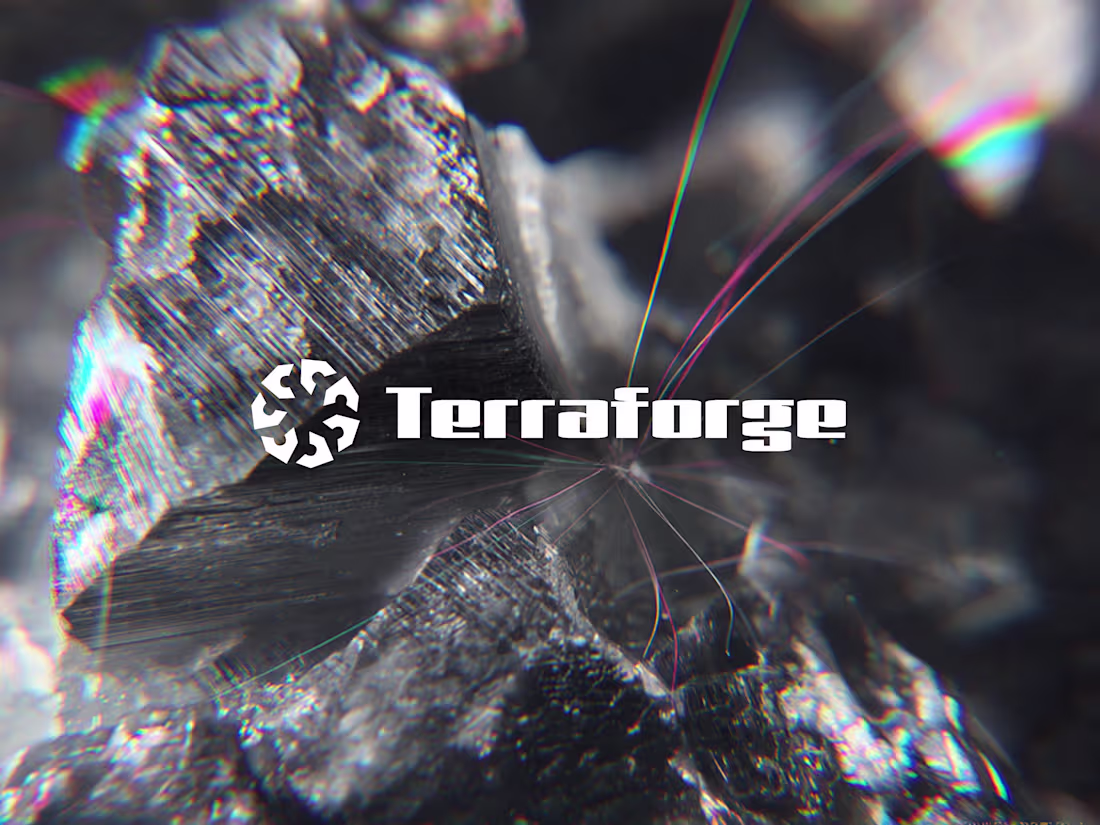 Cover image for Terraforge Brand System Development