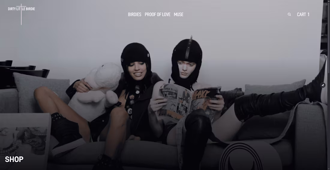 Cover image for Dirty Little Birdie – E-commerce Website