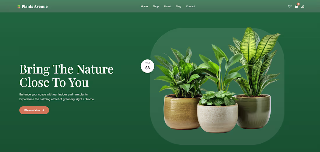 Cover image for Built a website for buying