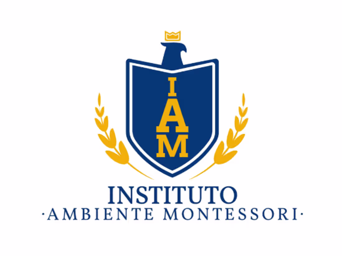 Cover image for Rebranding Montessori Institute