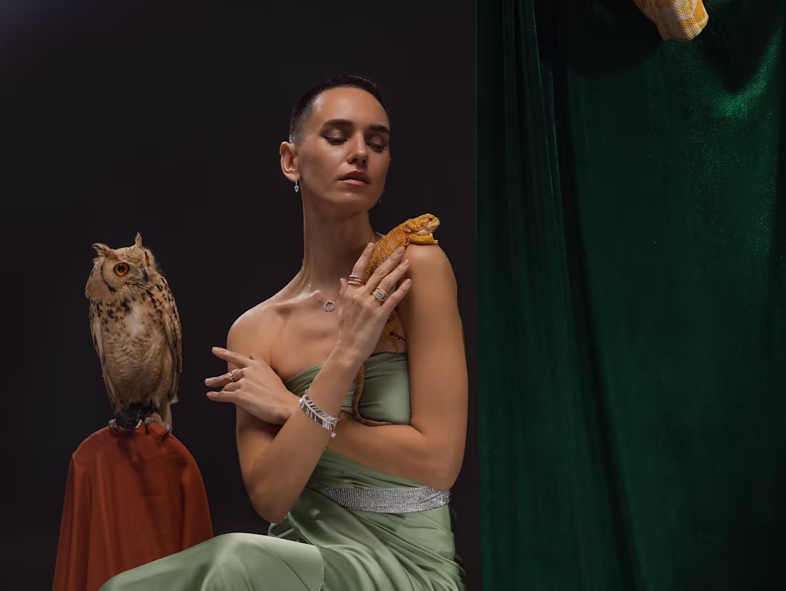 Cover image for Kenooz Animal Collection