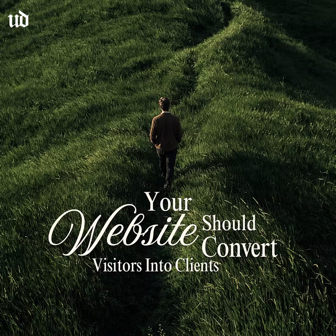Cover image for A beautiful website is not