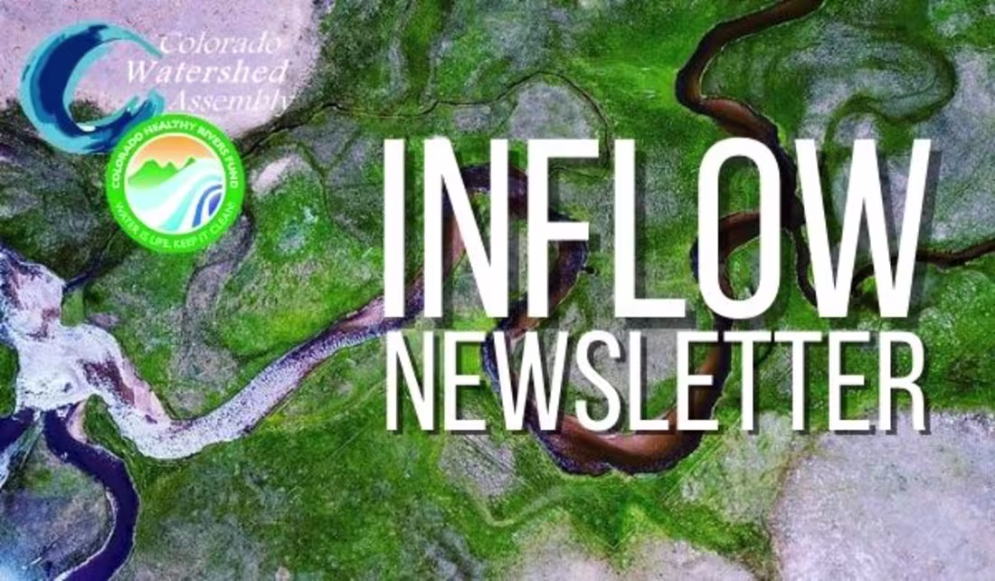 Cover image for Newsletters