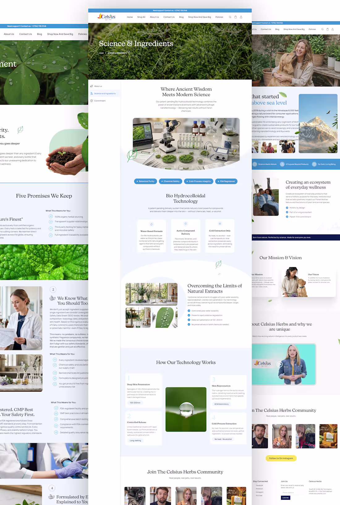 Cover image for Celsius Herbs, Natural Wellness Website