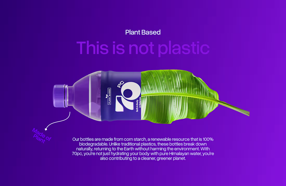 Cover image for A sustainable branding and packaging