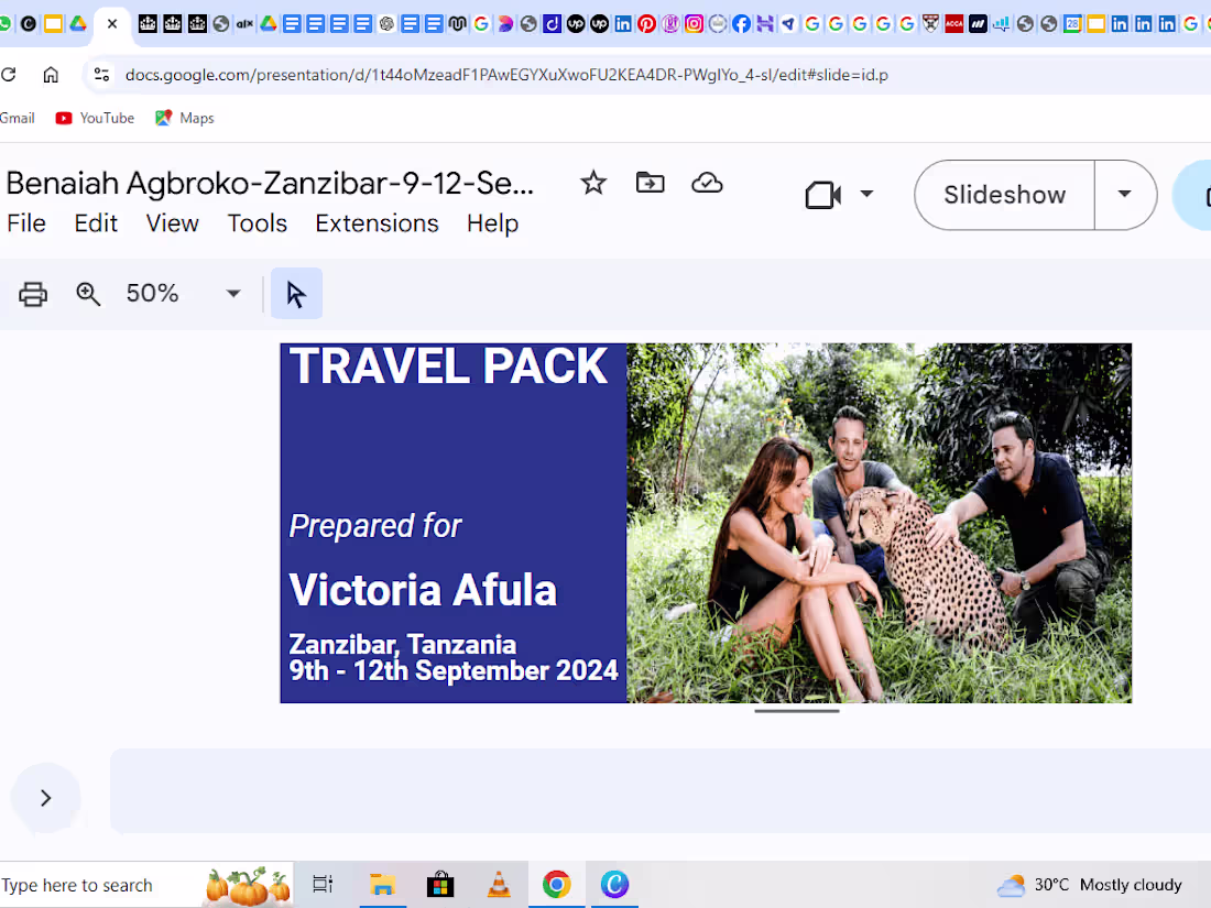 Cover image for Comprehensive Travel Itinerary Planning for Zanzibar Trip