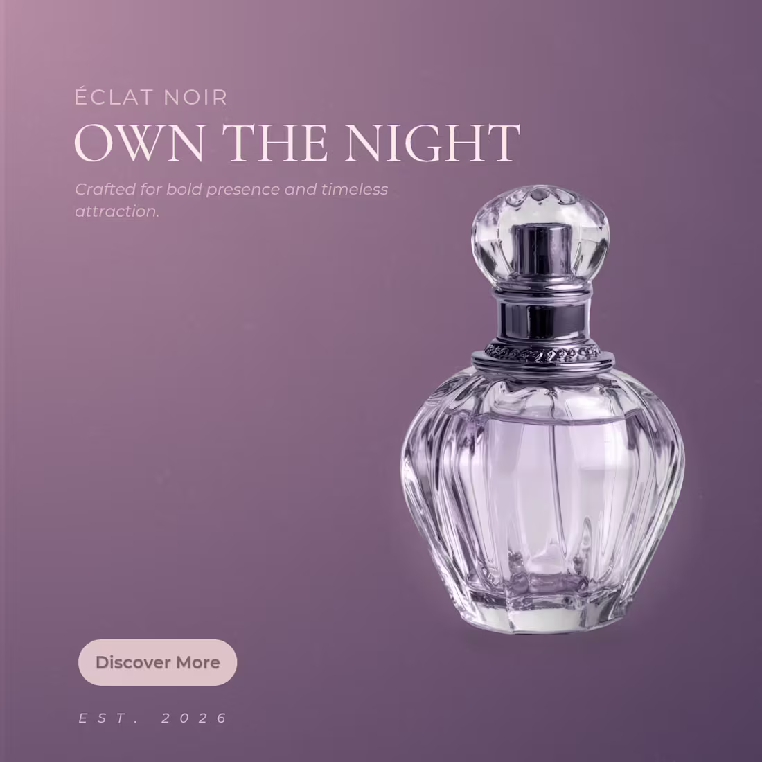Cover image for Own the night with elegance