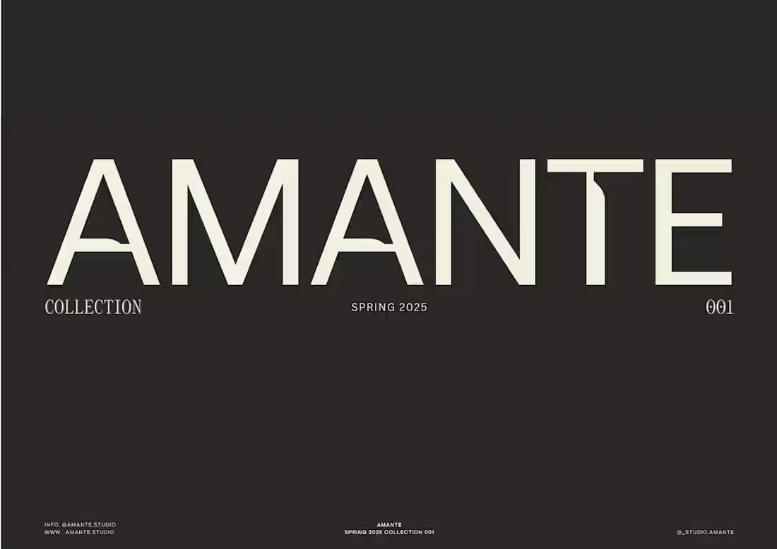 Cover image for AMANTE: Comissioned on Fiverr