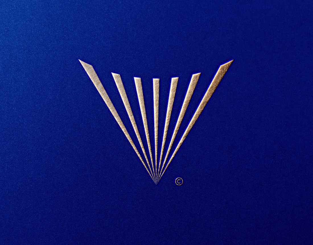 Cover image for Vouchlux Brand Identity